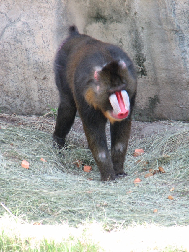 20100206 484.JPG